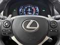 Lexus IS 300 300h F Sport Line | Schuifdak | Premium Navigatie Grau - thumbnail 19