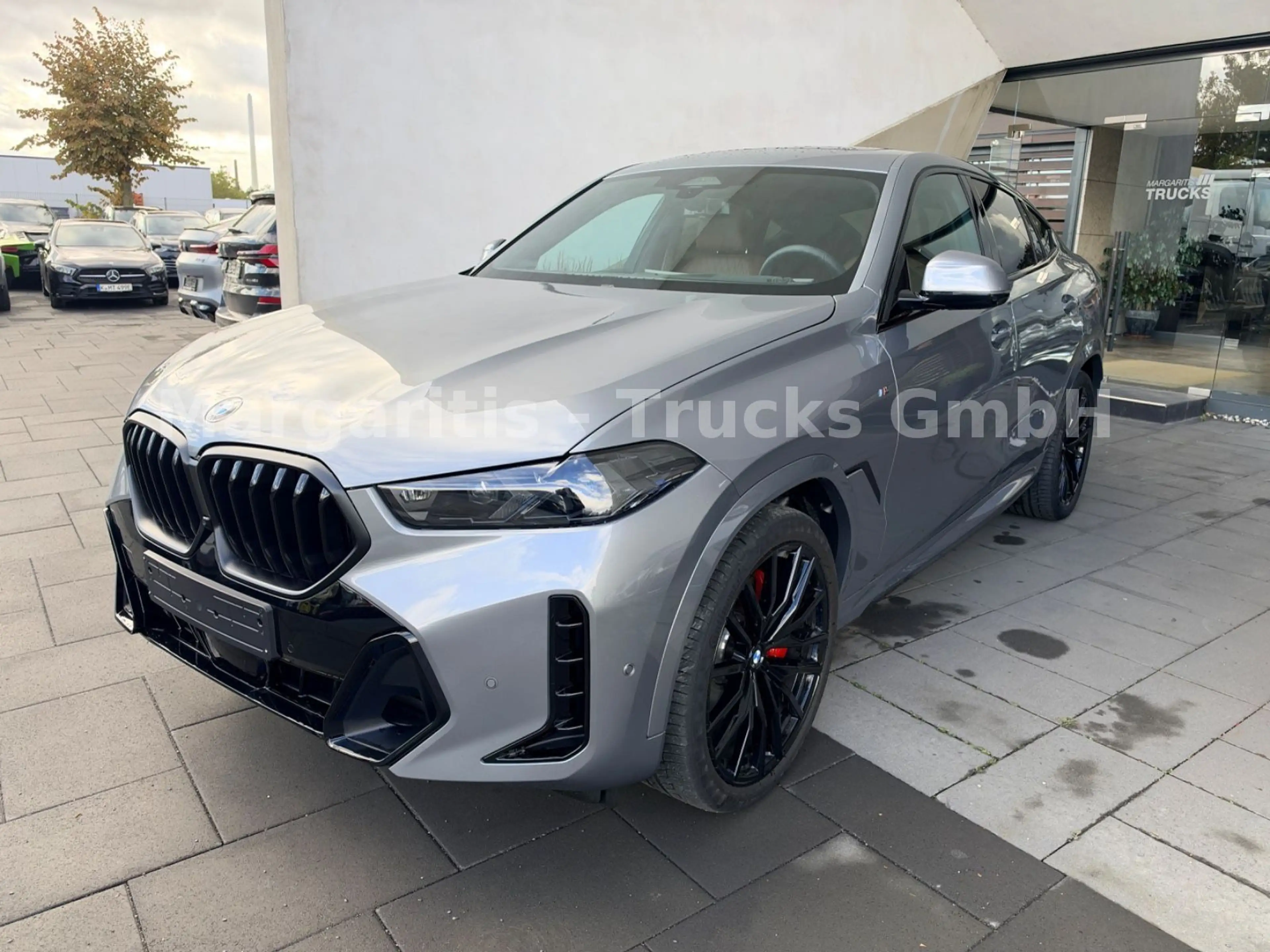 BMW X6 xDrive40d/22"/MPaketPro/Pano/Luft/SoftClose — photo 4