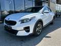 Kia XCeed Silber 1.5 TGDI 48V DCT7 Blanc - thumbnail 1
