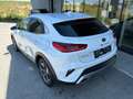 Kia XCeed Silber 1.5 TGDI 48V DCT7 Blanc - thumbnail 7