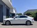 Jaguar XE 20d Portfolio Aut. **Keyless-Go/Panorama** Blanco - thumbnail 9