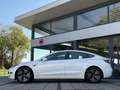 Tesla Model 3 Standard RWD Plus Blanco - thumbnail 20