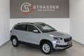 Skoda Karoq 4x4 Selection TDI DSG Grau - thumbnail 1