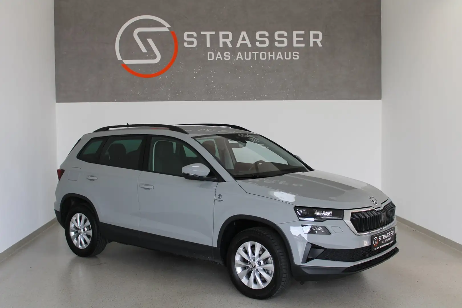 Skoda Karoq 4x4 Selection TDI DSG Grau - 1