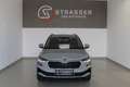 Skoda Karoq 4x4 Selection TDI DSG Grau - thumbnail 3