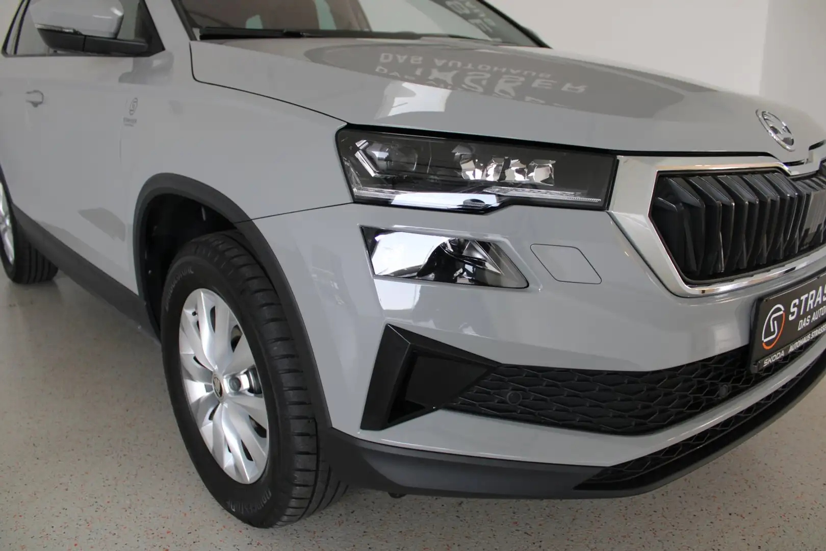 Skoda Karoq 4x4 Selection TDI DSG Grau - 2