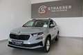 Skoda Karoq 4x4 Selection TDI DSG Grau - thumbnail 4