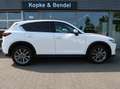 Mazda CX-5 Sports Line Plus AWD*Vollausstattung*Scheckheft* S Weiß - thumbnail 6