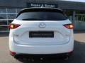 Mazda CX-5 Sports Line Plus AWD*Vollausstattung*Scheckheft* S Weiß - thumbnail 4