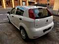 Fiat Punto 1.2 8V 5 porte Lounge Blanc - thumbnail 7