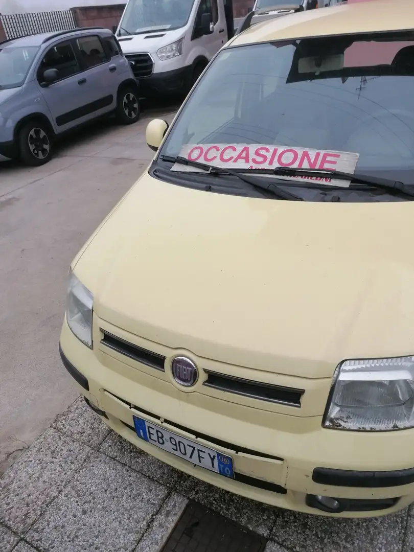 Fiat Panda 1.2 Dynamic GPL Giallo - 1
