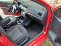Volkswagen Polo Polo Highline 1,2 TDI DPF Highline Euro 5 - thumbnail 4