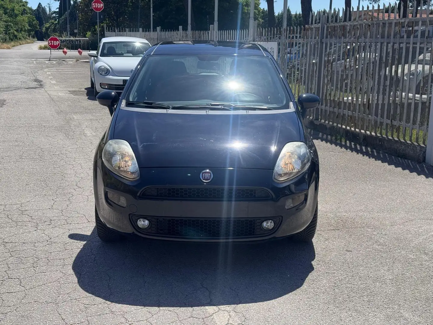 Fiat Punto Punto 5p 1.4 natural power Street 70cv E6 Blau - 2