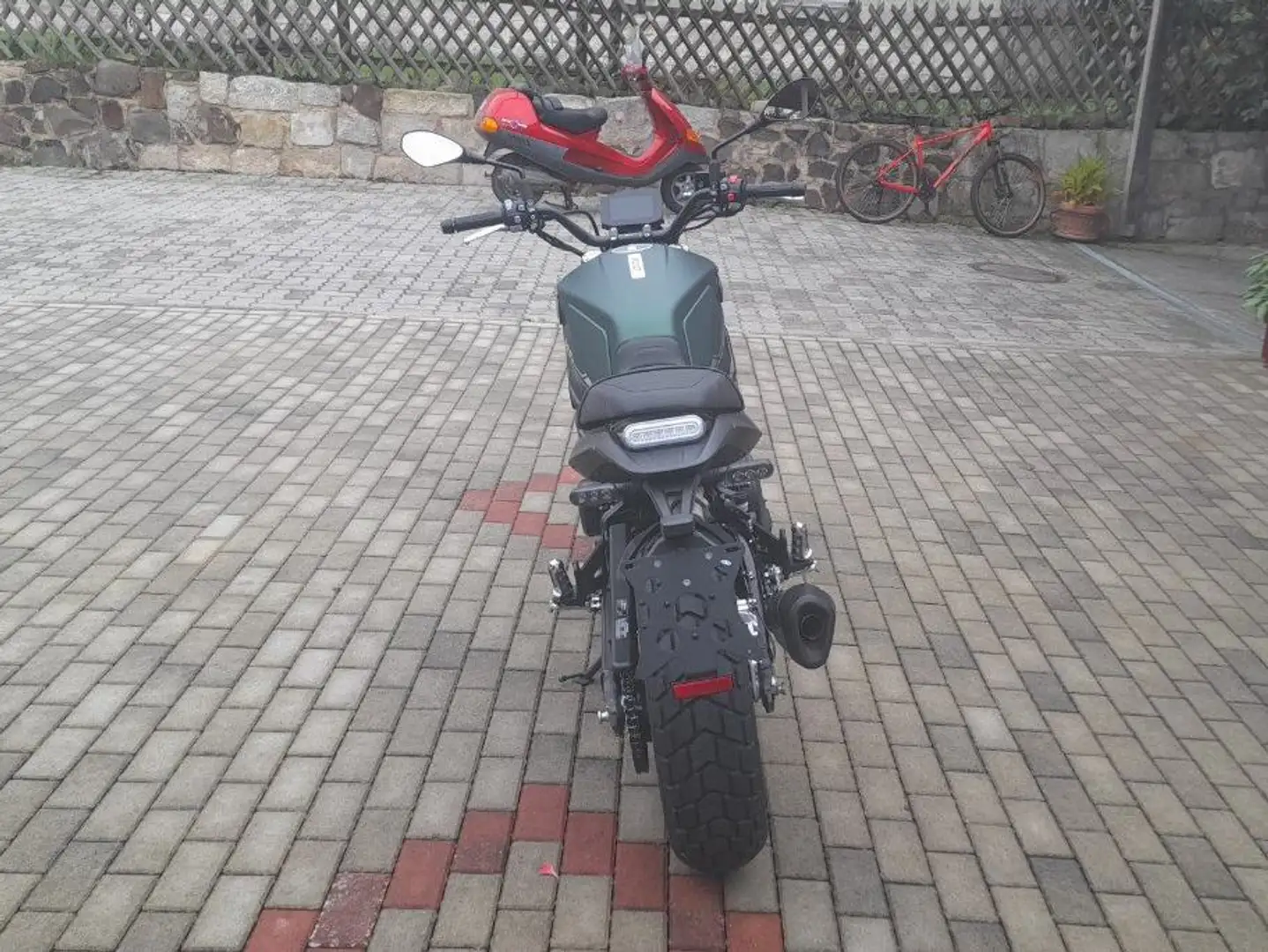 Benelli Leoncino 800 Grün - 2