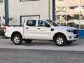 Ford Ranger 2,0 XL Doppelkabine / 4x4 / Diesel / neues Pickerl Weiß - thumbnail 2