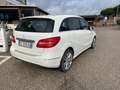 Mercedes-Benz B 200 cdi (be) Executive Bianco - thumbnail 6