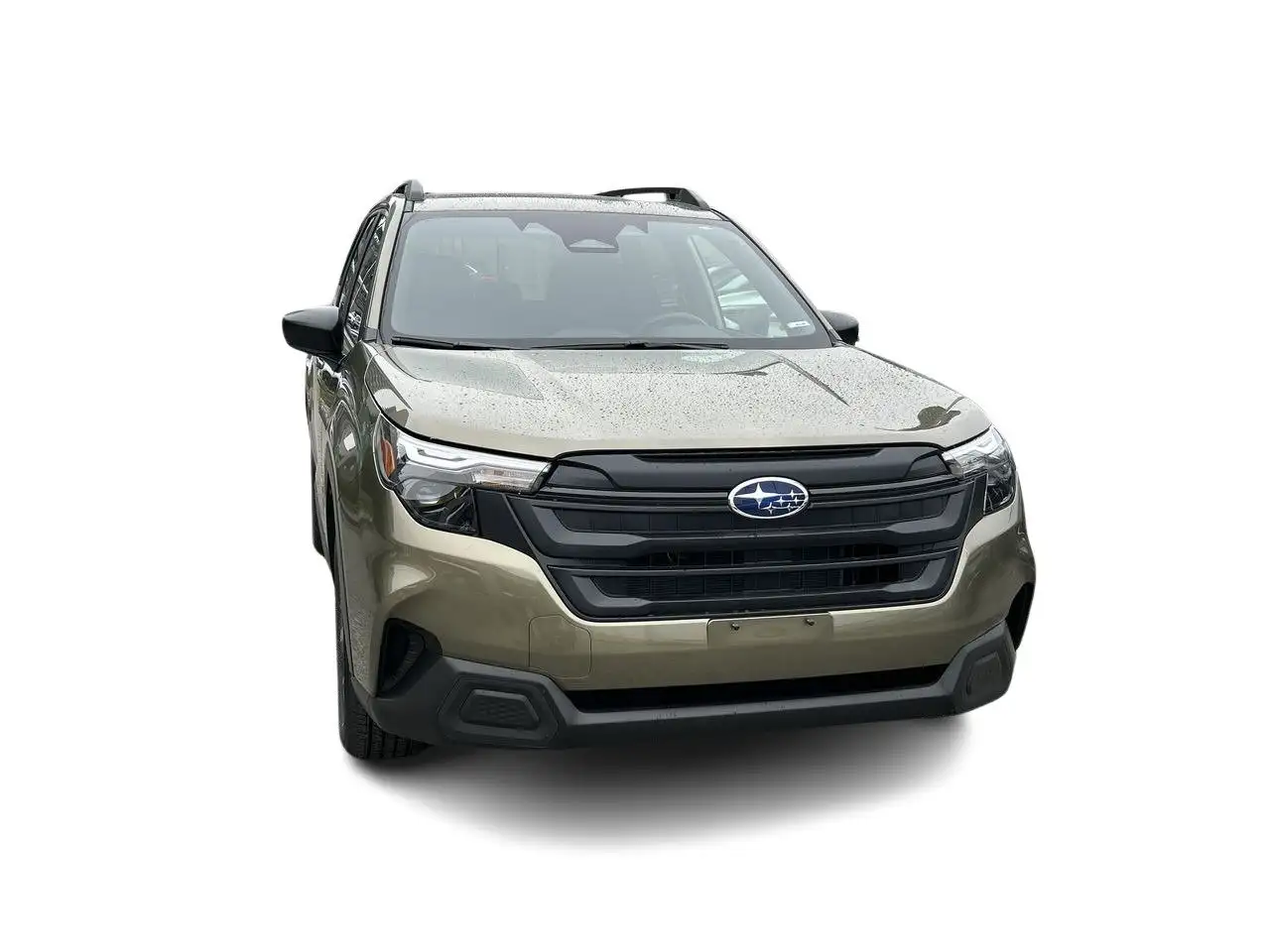 Subaru Forester photo Subaru Forester
