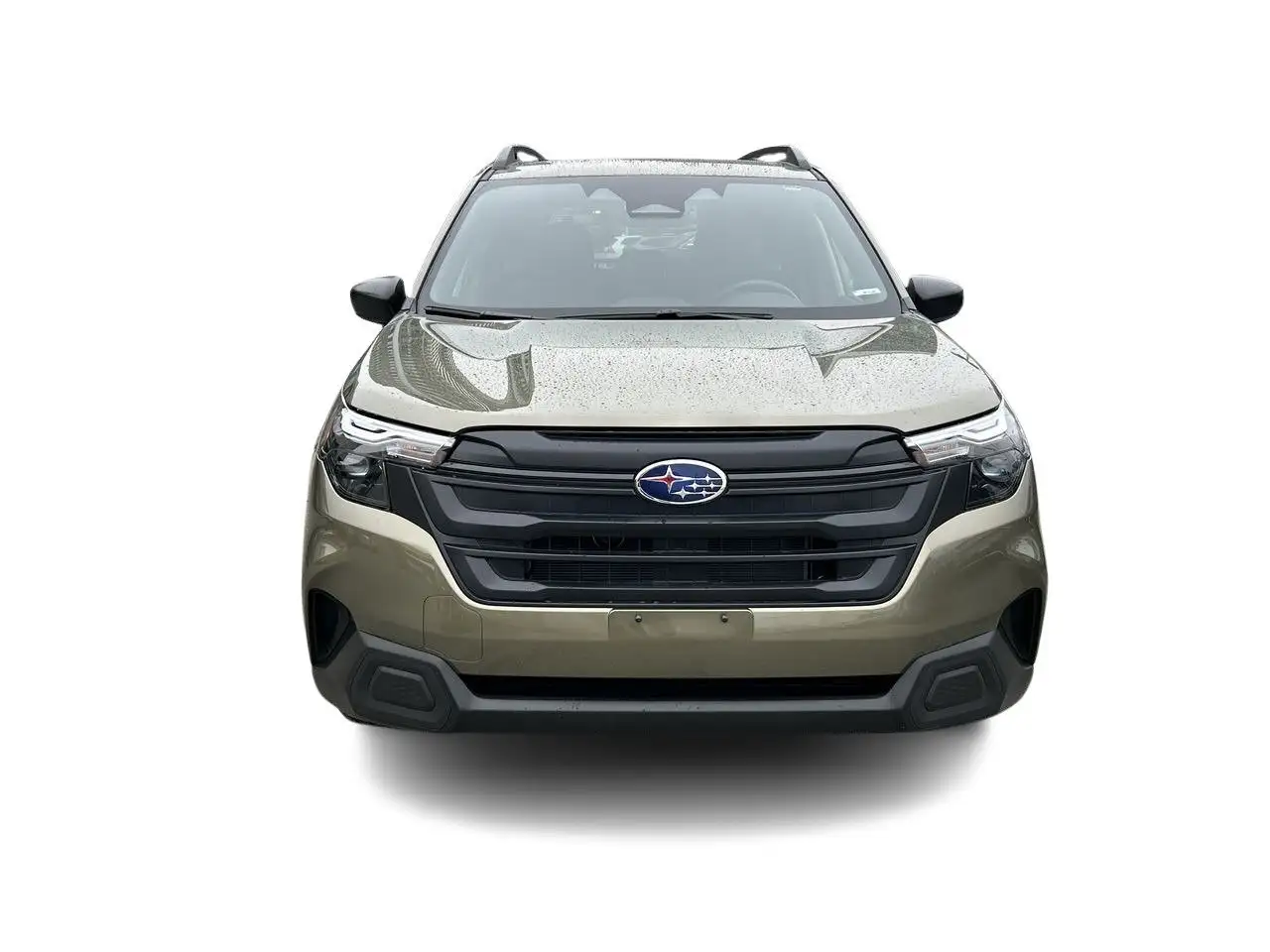 Subaru Forester photo Subaru Forester