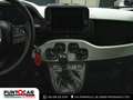 Fiat Panda 1.0 FireFly S&S Hybrid Pandina PROMO FLEX Vert - thumbnail 12