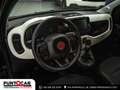 Fiat Panda 1.0 FireFly S&S Hybrid Pandina PROMO FLEX Vert - thumbnail 9