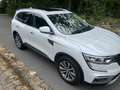 Renault Koleos Limited 4x4 Wit - thumbnail 12
