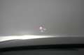 Audi A6 50 TDI quattro tiptronic design Navi/Leder/AC Gris - thumbnail 14