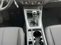 Audi Q3 35TFSI advanced Virtual Climatr Sitzh Ahk PDC Grau - thumbnail 8