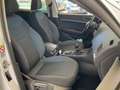 SEAT Ateca 1.0 TSI Style Business Blanco - thumbnail 11
