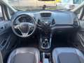Ford EcoSport 1.0 EcoBoost 125 CV Business  **NEOPATENTATI** Bianco - thumbnail 6