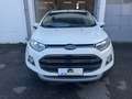 Ford EcoSport 1.0 EcoBoost 125 CV Business  **NEOPATENTATI** Bianco - thumbnail 5