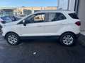Ford EcoSport 1.0 EcoBoost 125 CV Business  **NEOPATENTATI** Bianco - thumbnail 2