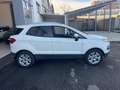 Ford EcoSport 1.0 EcoBoost 125 CV Business  **NEOPATENTATI** Bianco - thumbnail 4