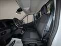 Ford Transit 350 2.0TDCi EcoBlue 130CV RWD PL Cab.Trend Bianco - thumbnail 11