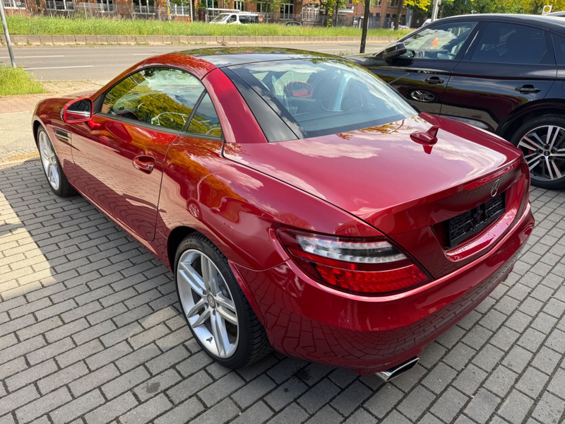 Mercedes-Benz SLK 250 Roadster  Xenon-Leder-Pano — photo 8