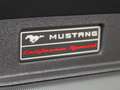 Ford Mustang 5.0 Ti-VCT V8 331kW  GT (Conv.) Gris - thumbnail 1