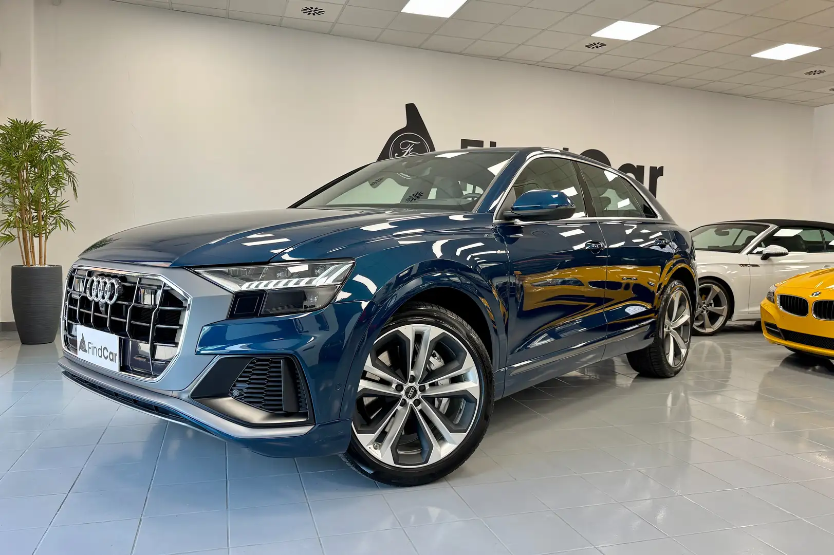 Audi Q8 55 3.0 tfsi e Sline PlugIn quattro tiptronic Blu/Azzurro - 1