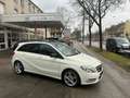 Mercedes-Benz B 220 CDI Aut+1.Hd/ Navi/Leder/Pano/BiXen/Sportpaket+ White - thumbnail 1