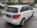 Mercedes-Benz B 220 CDI Aut+1.Hd/ Navi/Leder/Pano/BiXen/Sportpaket+ White - thumbnail 7