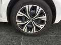 Renault Twingo ZEN SCE 65 *KLIMA*SHZ* Bianco - thumbnail 12