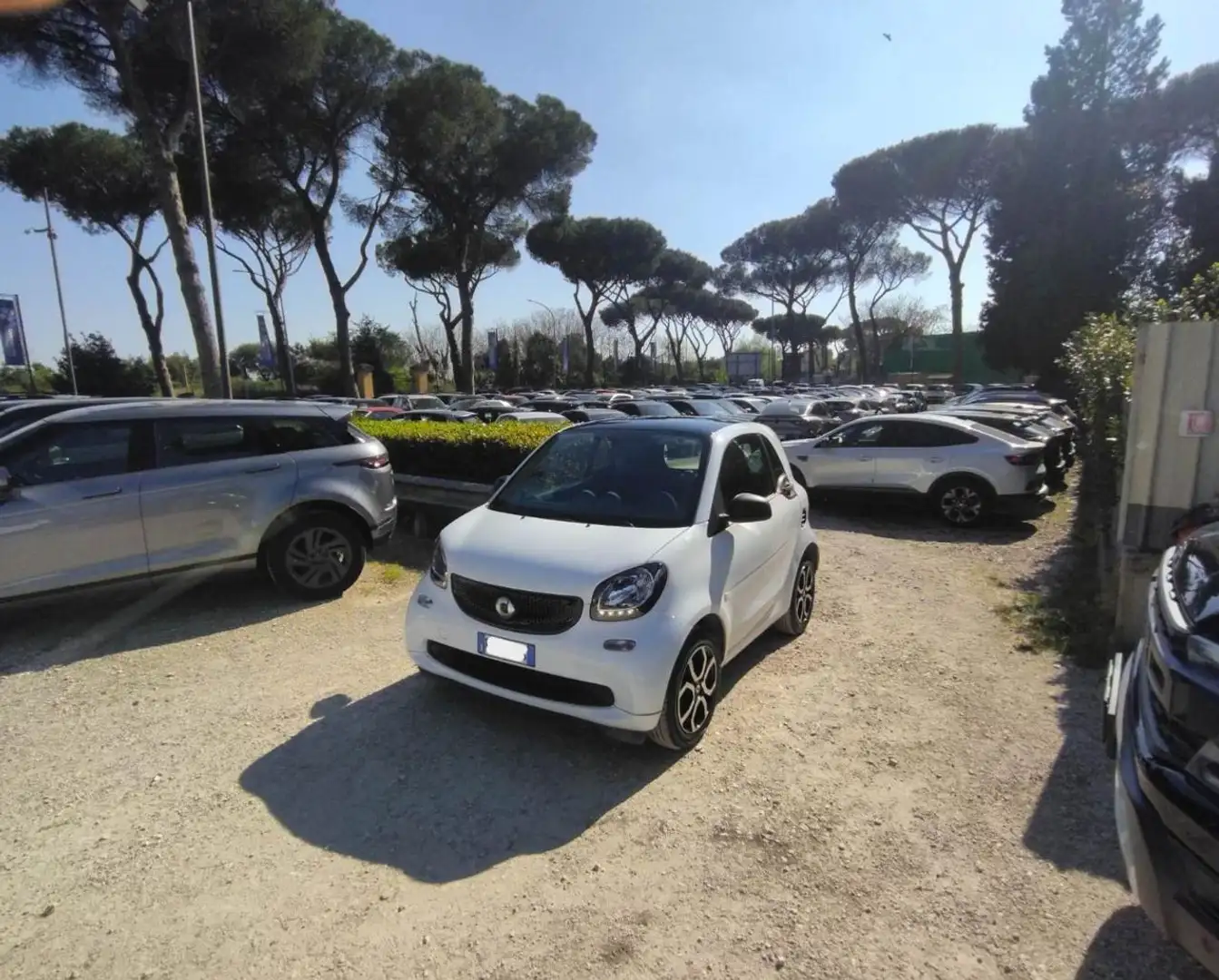 smart forTwo 1.0cc TWINAMIC PASSION 71cv NAVI TETTO PANORAMA Bianco - 1