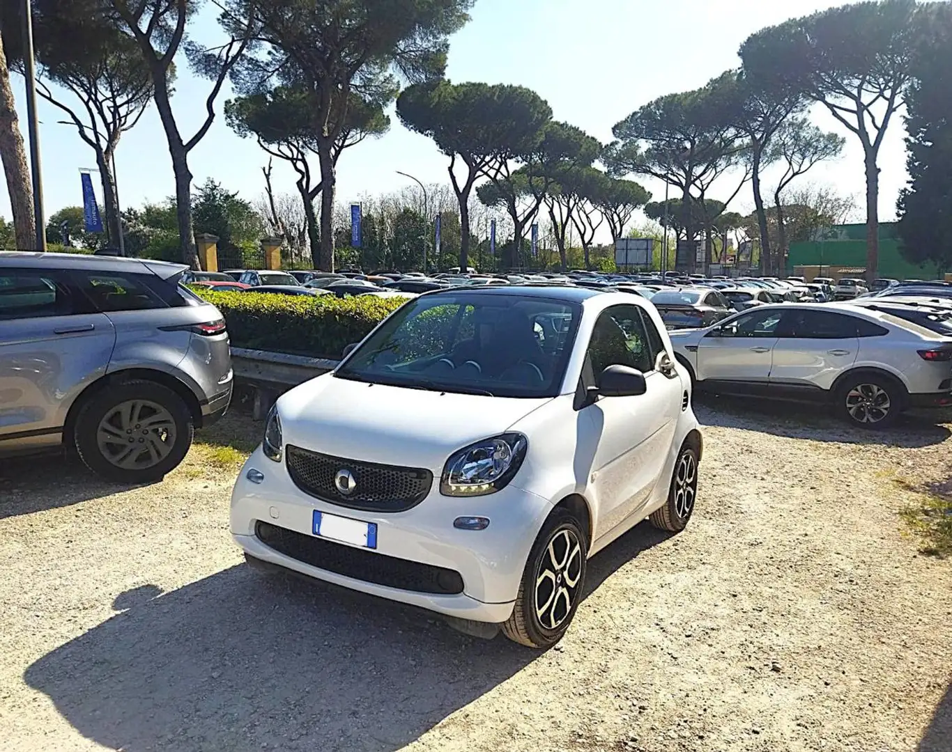 smart forTwo 1.0cc TWINAMIC PASSION 71cv NAVI TETTO PANORAMA Bianco - 2