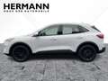 Ford Kuga 1.5 EcoBoost Cool & Connect *NAVI*LED*4xSHZ White - thumbnail 2