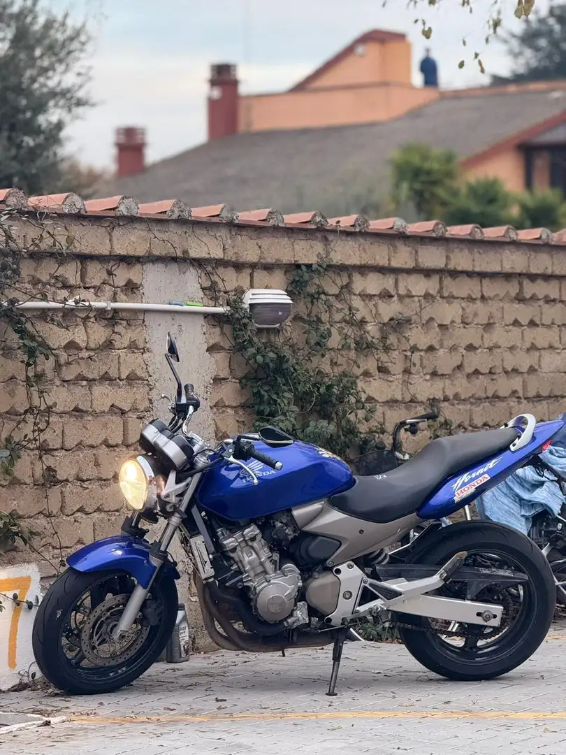 Honda Hornet Blu/Azzurro - 1