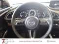 Mazda CX-30 Homura 140 2025|Navi|Alexa|LED Weiß - thumbnail 11