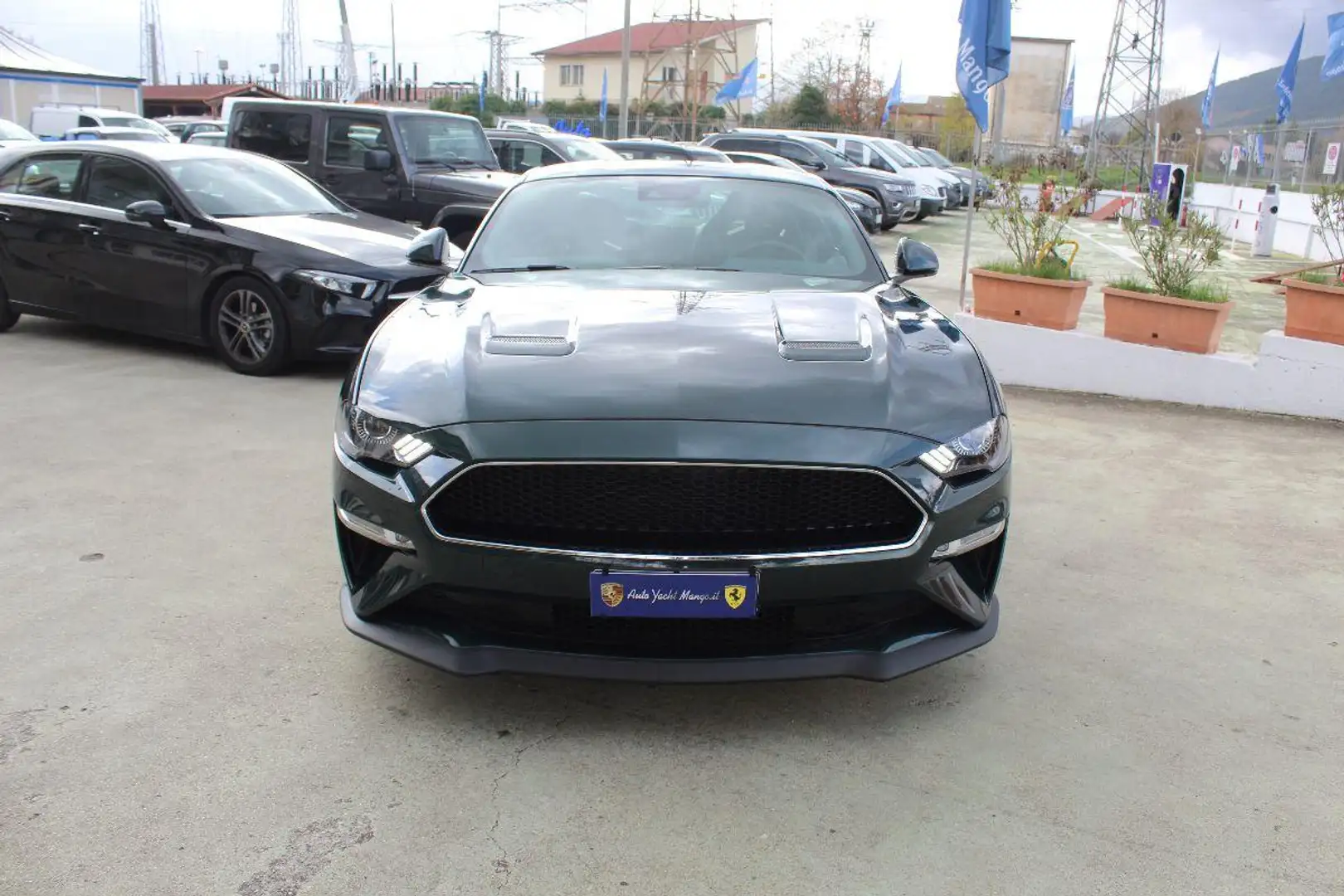 Ford Mustang Fastback 5.0 V8 TiVCT GT Bullitt Verde - 2