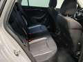 Skoda Kamiq 1.0 TSI Business Edition - Clima - Achter Schade Grijs - thumbnail 12