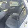 Audi A4 Avant (8WD) 40 TDI S line Blanc - thumbnail 10