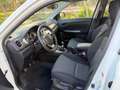 Suzuki Vitara 1.4 Hybrid Top Weiß - thumbnail 7