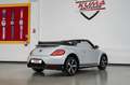 Volkswagen Maggiolino 1.4 TSI R line DSG Exclusive cabrio Weiß - thumbnail 27