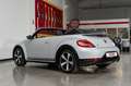 Volkswagen Maggiolino 1.4 TSI R line DSG Exclusive cabrio Weiß - thumbnail 5